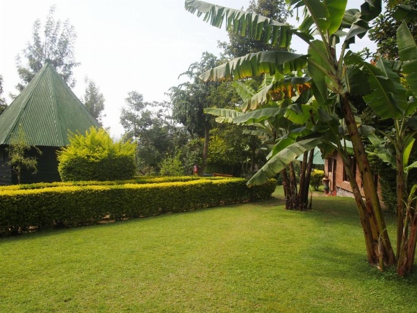 Songota Falls Lodge image 28